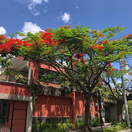 Hotel Arbol De Fuego San Salvador Kültér fotó