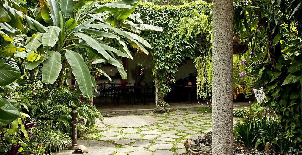 Hotel Arbol De Fuego San Salvador Kültér fotó