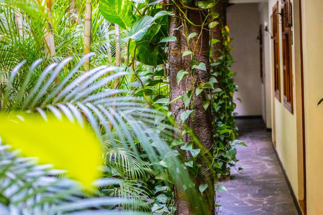 Hotel Arbol De Fuego San Salvador Kültér fotó