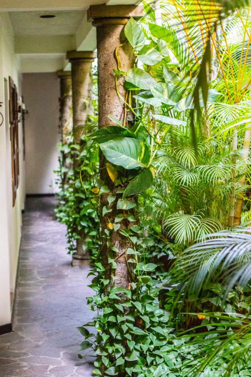 Hotel Arbol De Fuego San Salvador Kültér fotó