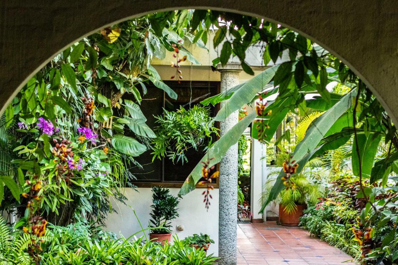 Hotel Arbol De Fuego San Salvador Kültér fotó