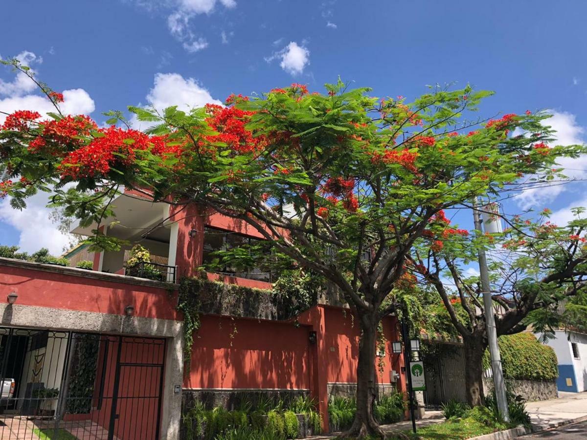 Hotel Arbol De Fuego San Salvador Kültér fotó